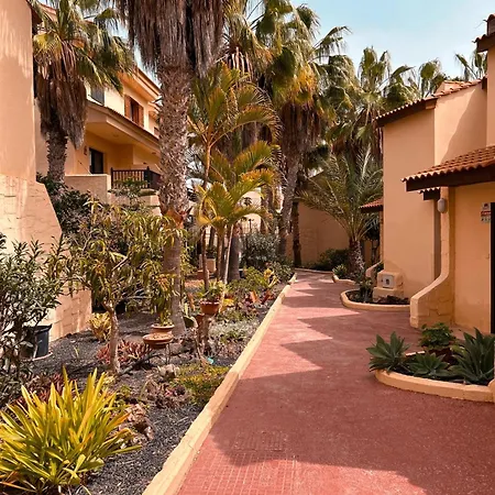 Casa De Los Girasoles Parque Holandes