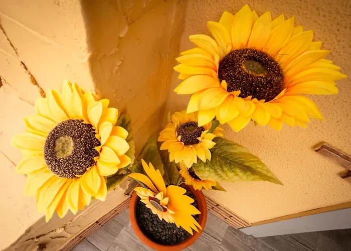 Daire Casa De Los Girasoles *