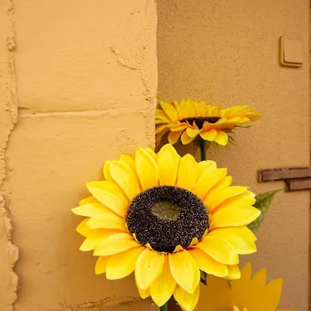 Casa De Los Girasoles *