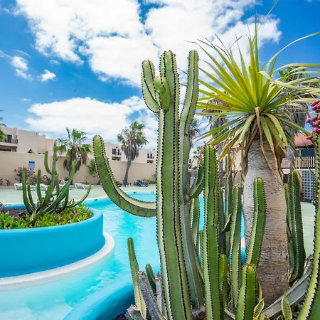 Casa De Los Girasoles 아파트 *