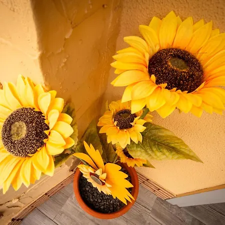 아파트 Casa De Los Girasoles *